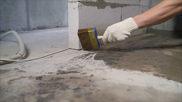 SJ Waterproofing Pros Waterproofing coverage map for New Tazewell, TN and surrounding area